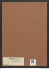 Surirella longa Schum. (de-Toni-Nr.: Genus 53, Species 2318) Zeichnungen Sammlung Grunow Mappe 02517 (Herbarium_W_Grunow_drawings_Folder_02517)